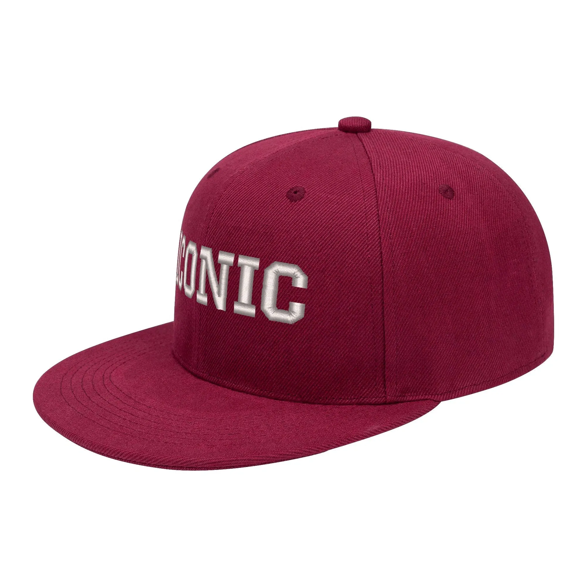 ICONIC Embroidered Streetwear Snapback Hats