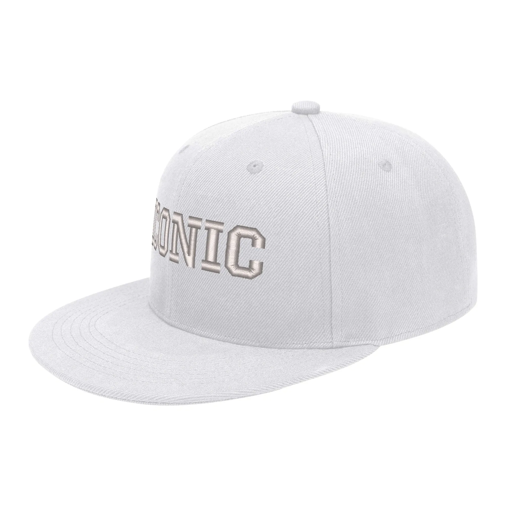 ICONIC Embroidered Streetwear Snapback Hats