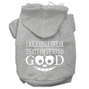 Up To No Good Screen Print Pet Hoodies Grey Size Sm (10)